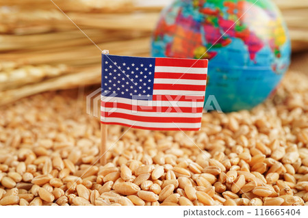 Bangkok, Thailand March 12, 2023 Wheat grains with US dollar banknotes, trade export and economy concept. 116665404