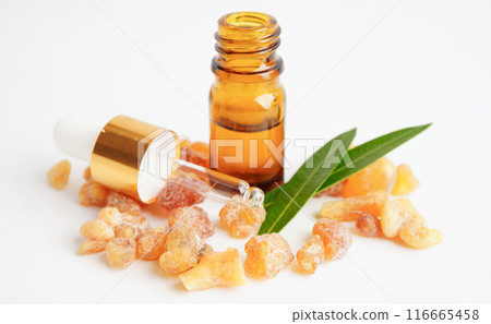 Frankincense or olibanum aromatic resin used in incense and perfumes. 116665458