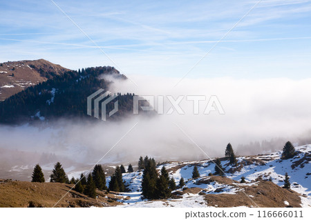 Italian Alps winter landscape, Grappa mount 116666011
