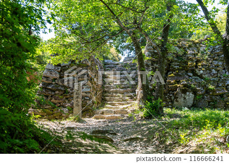 [德島]一宮城本丸遺址石牆 116666241