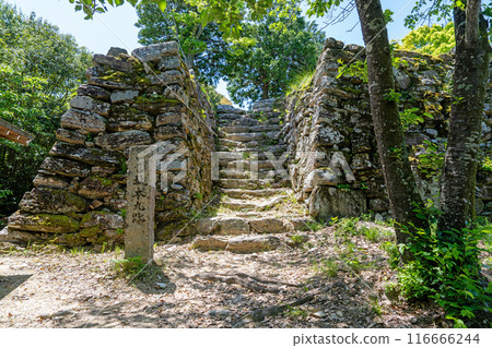 [Tokushima] Ichinomiya Castle Main Citadel Remains Stone Wall 116666244