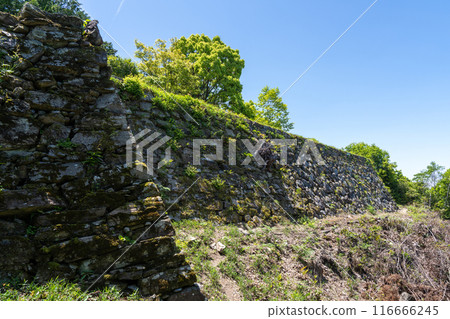 [Tokushima] Ichinomiya Castle Main Citadel Remains Stone Wall 116666245