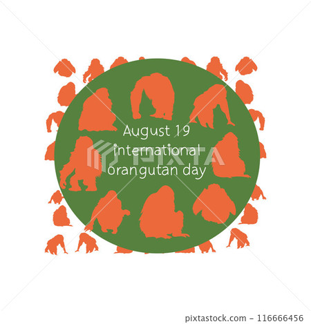 international orangutan day 116666456