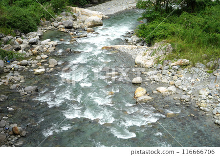 Stony Mountain River of North Bengal 116666706