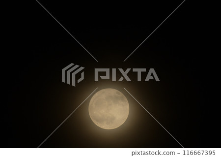 五月滿月花月朦朧月 五月滿月花月朦朧月 116667395