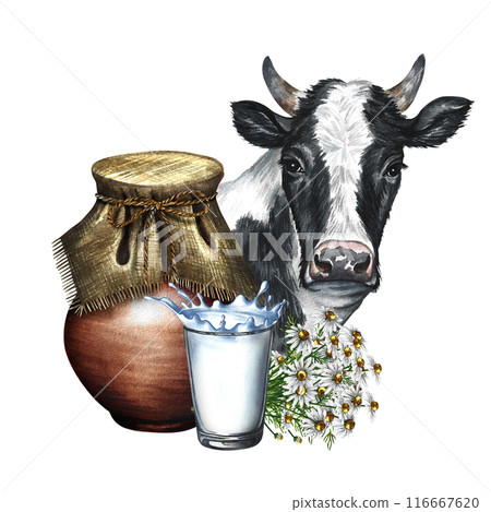 An earthenware jug and a glass of milk. Composition with milk and cow's nose. A hand-drawn watercolor illustration. For advertising banners, flyers about milk, packaging with labels of dairy products. 116667620