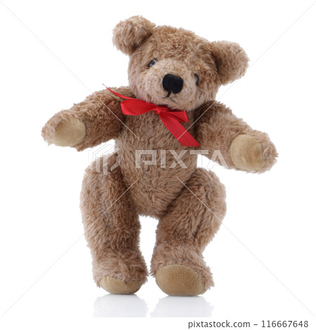 Brown Teddy Bear with a red bow standing up 116667648