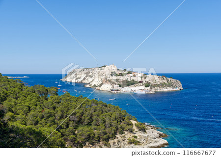 San Nicola island of the Tremiti Islands archipelago in summer, Puglia, Italy. 116667677