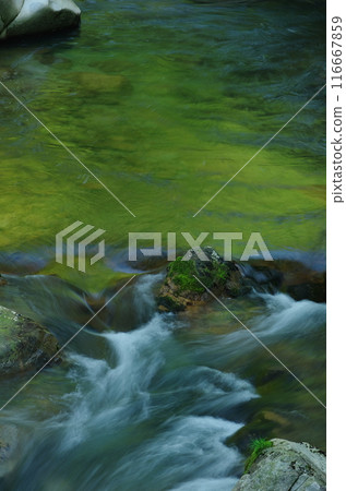 Stream scenery 116667859