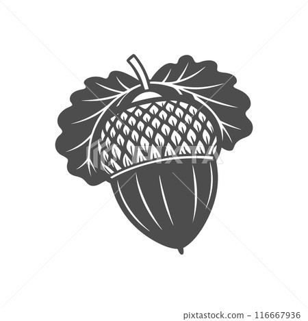 Silhouette of an acorn oak tree on a white background. Black and white engraving illustration, sketch, design element Silhouette of an acorn oak tree on a white background. Black and white engraving illustration, sketch, design element 116667936