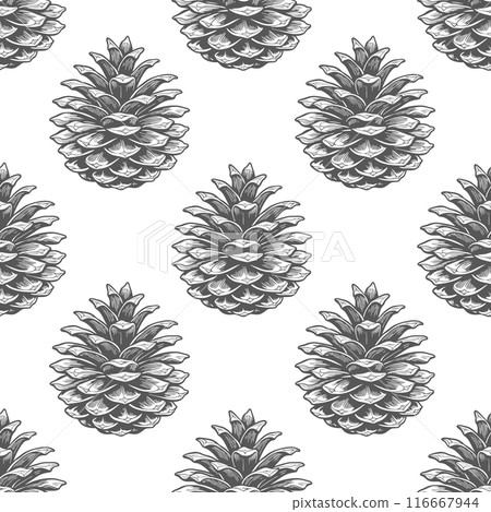Seamless pattern, drawn pine cones on a white background. Silhouettes of cones background. Design for textiles, wallpaper 116667944