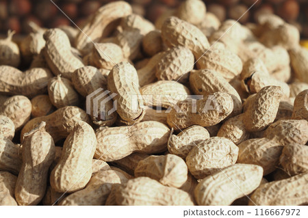 top view of Several peanuts in a basket. top view of Several peanuts in a basket. 116667972