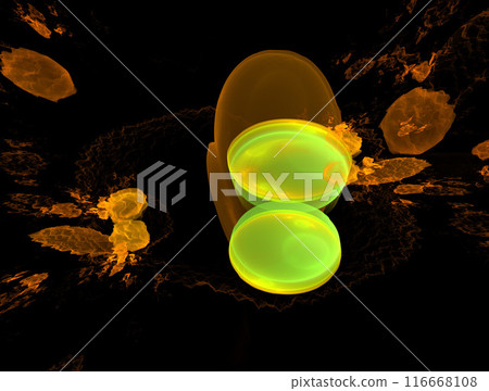 Imaginatory fractal abstract background Image Imaginatory fractal abstract background Image 116668108