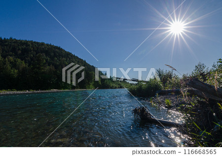 Pre-sunset view of the Vedder River winding through Chilliwack, BC, Canada Pre-sunset view of the Vedder River winding through Chilliwack, BC, Canada 116668565