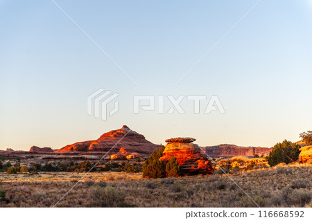 The Needles area of Canyonlands 116668592
