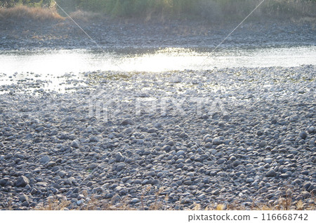 Morning sun on the river surface and dry stones 116668742