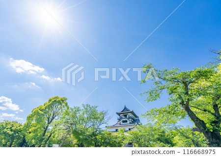 Inuyama Castle: The oldest castle designated as a national treasure and the last privately owned castle in Japan. 116668975
