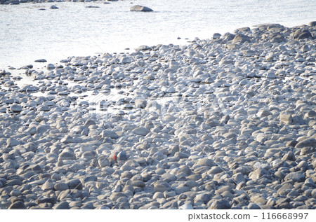 Morning sun on the river surface and dry stones Morning sun on the river surface and dry stones 116668997