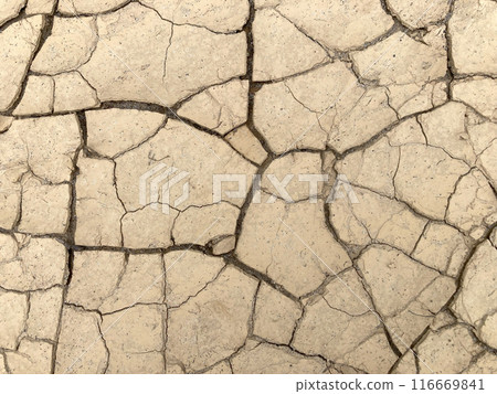 龜裂的土地 龜裂的土地 116669841
