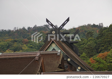 Your main hall 116670927