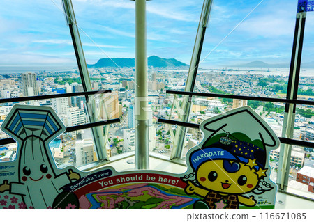 The view from Goryokaku Tower The view from Goryokaku Tower 116671085