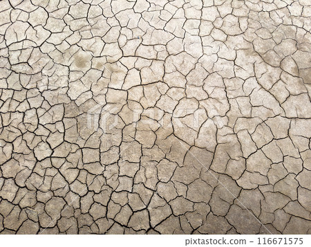 Dry cracked earth surface during drought season texture background Dry cracked earth surface during drought season texture background 116671575