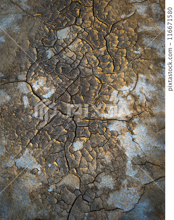 Close-up of cracked dry earth in natural abstract pattern 116671580