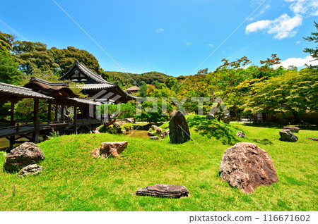 高台寺花園 高台寺花園 116671602