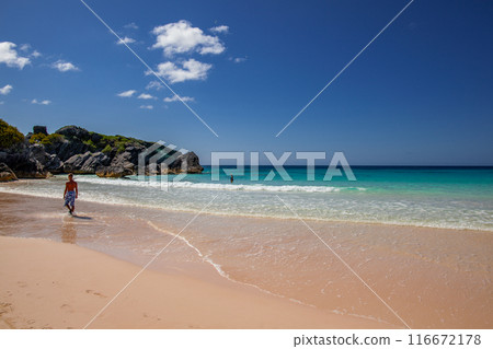 Bermuda 116672178