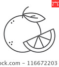 Orange fruit line icon 116672203
