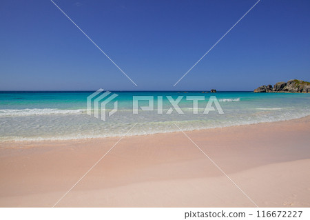 Bermuda Bermuda 116672227