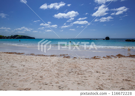 Bermuda 116672228