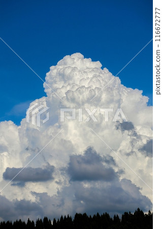 夏雲 116672777