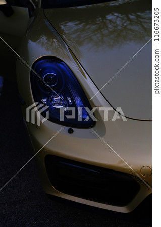 Gold sports car 116673205