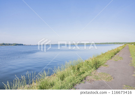 Ibaraki Lake Hinuma (Hokota City) 116673416