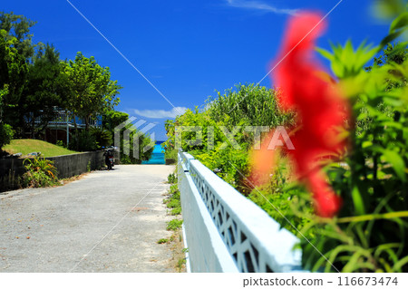 Okinawa Kerama Islands Tokashiki Island Scenery Aharen Village 116673474