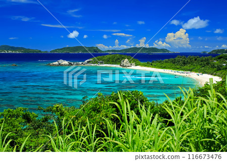 Okinawa in midsummer, Kerama Islands, Tokashiki Island, Aharen Beach Okinawa in midsummer, Kerama Islands, Tokashiki Island, Aharen Beach 116673476