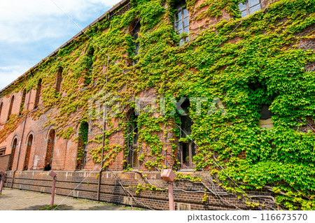 常春藤纏繞的紅磚倉庫 116673570