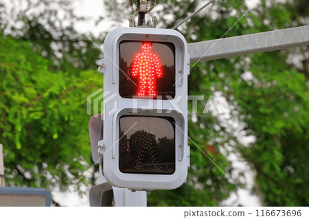 pedestrian traffic light pedestrian traffic light 116673696