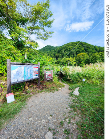 Climbing Mt. Amakasari in summer (Amakasari Kogen trailhead) Climbing Mt. Amakasari in summer (Amakasari Kogen trailhead) 116673919