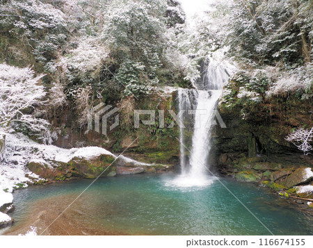 Jion Falls in the frozen winter, Yamaura, Kuju-machi, Kuju-gun, Oita Prefecture 116674155