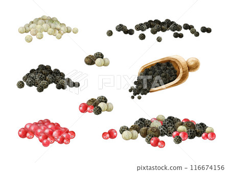 Peppercorn blend illustration painted set. Four pepper spice mix heap element on white background. Allspice, black, white, pink pepper dry whole seeds natural aromatic spice for cooking and seasoning 116674156