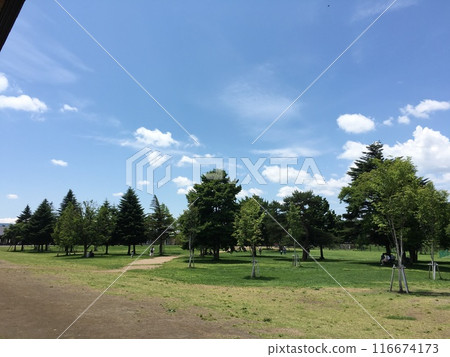 公園草坪和藍天 116674173