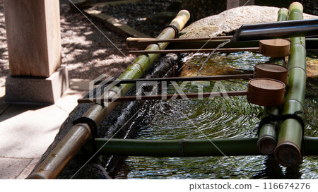 最強財運神社金宮神社5長總社 116674276