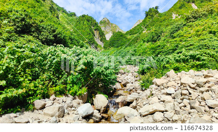 夏季攀登天陽山(從新日澤眺望布團菱) 夏季攀登天陽山(從新日澤眺望布團菱) 116674328