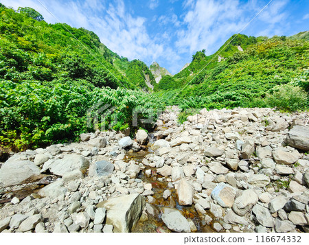 Climbing Mt. Amakasaka in summer (view of Futonbishi from Arasugazawa) Climbing Mt. Amakasaka in summer (view of Futonbishi from Arasugazawa) 116674332