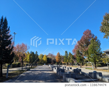 柏之葉公園入口，廣闊的藍天 116674474