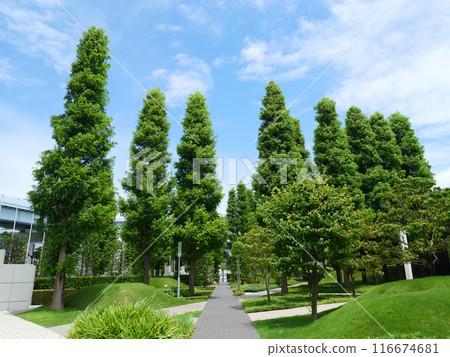 東京大視野花園 116674681