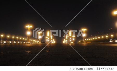 Late night walk in Odaiba, the bridge of dreams 116674738