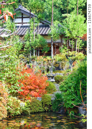 Ohara Jikkoin Temple, Former Rikakuin Garden, Beautiful Autumn Garden (Sakyo Ward, Kyoto City) Ohara Jikkoin Temple, Former Rikakuin Garden, Beautiful Autumn Garden (Sakyo Ward, Kyoto City) 116674739